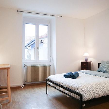 Appartement Entier, Proche Tram-Train Et Commodites, Parking Gratuit ミュルーズ エクステリア 写真