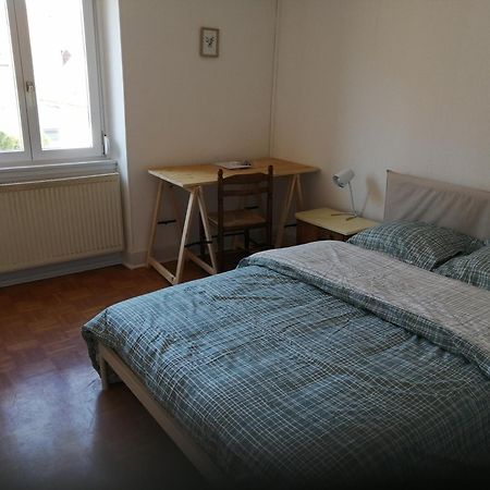 Appartement Entier, Proche Tram-Train Et Commodites, Parking Gratuit ミュルーズ エクステリア 写真
