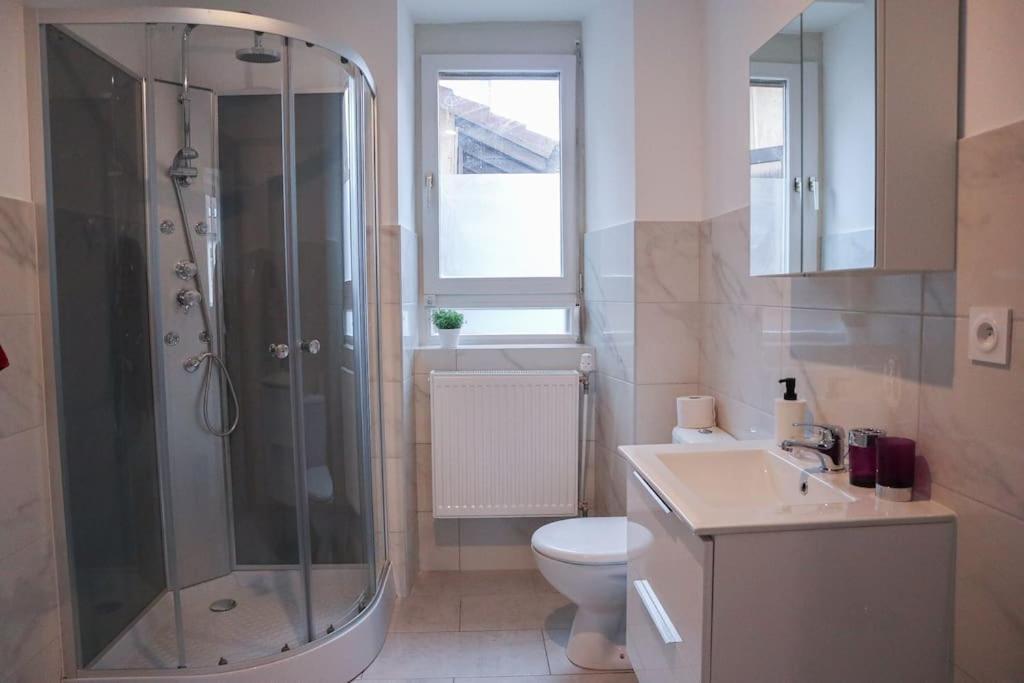 Appartement Entier, Proche Tram-Train Et Commodites, Parking Gratuit ミュルーズ エクステリア 写真