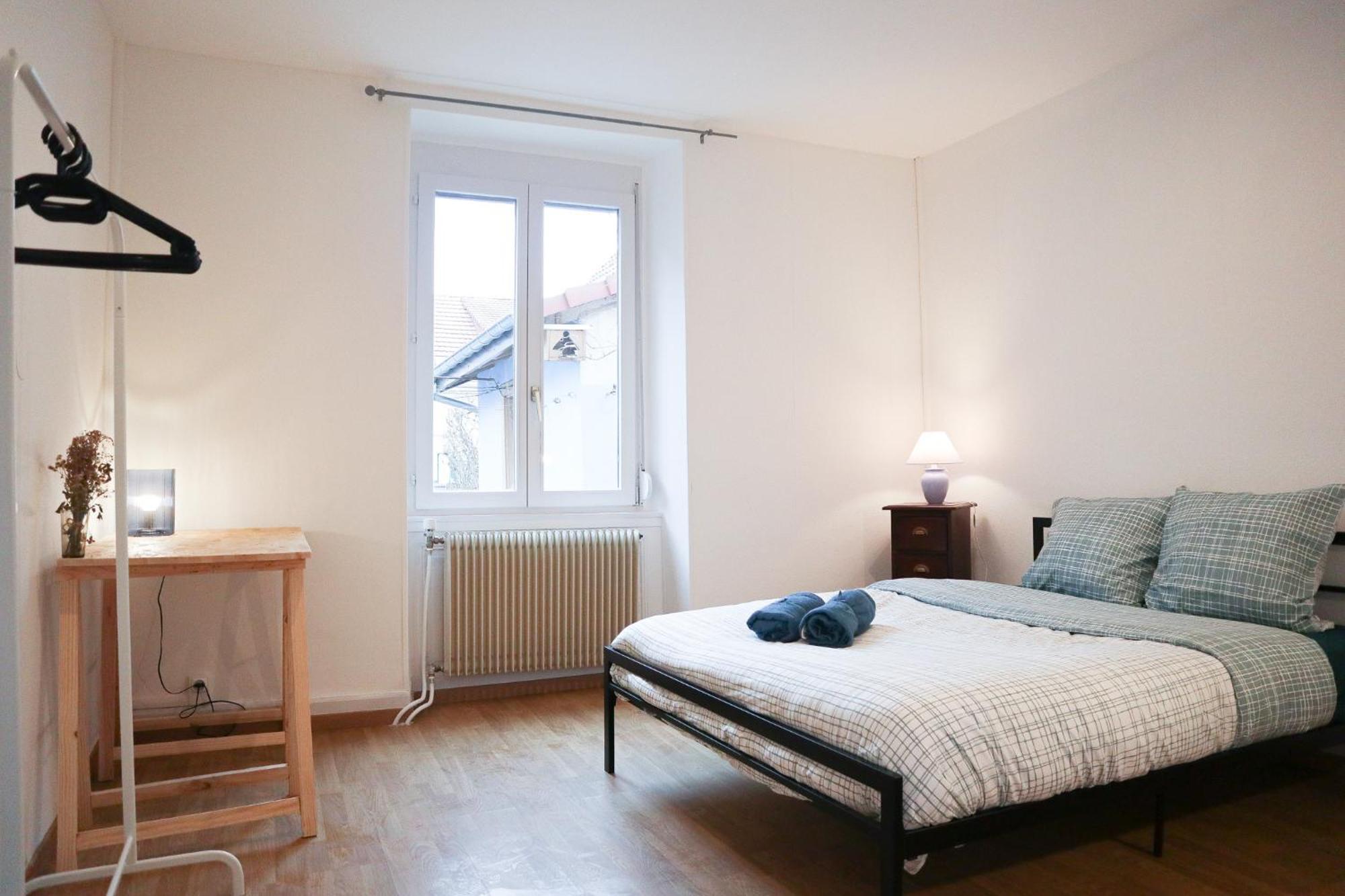 Appartement Entier, Proche Tram-Train Et Commodites, Parking Gratuit ミュルーズ エクステリア 写真
