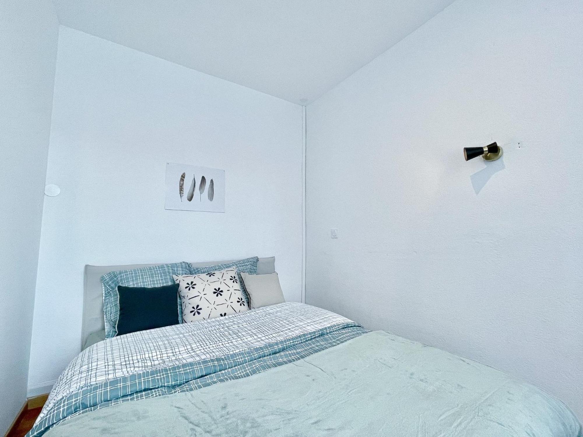 Appartement Entier, Proche Tram-Train Et Commodites, Parking Gratuit ミュルーズ エクステリア 写真